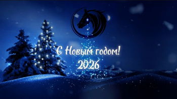 С наступающим Новым 2026 годом!