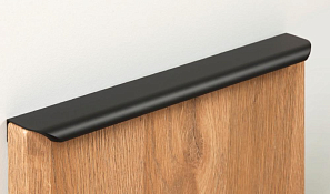 Ручка торцевая Monte RT110BL.1/224/300, черный